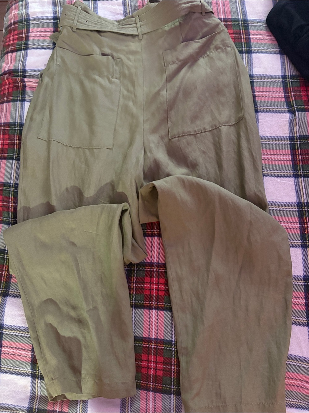 EUC WILFRED LE FOU NEWT GREEN LEONCE HIGH WAISTED BELTED TROUSER - Picture 11 of 13
